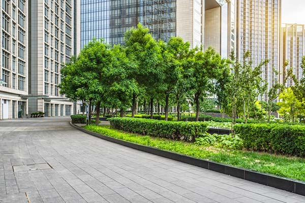 Commercial Landscaping