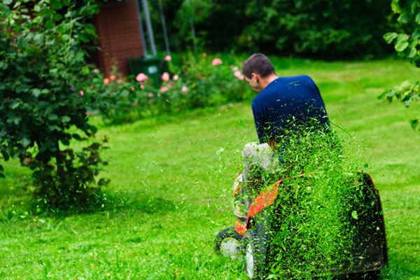 Lawn Maintenance