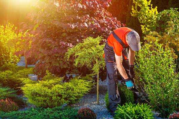 Residential Landscaping